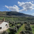 Casale Dei Priori | Agriturismo Rocca Massima | Latina