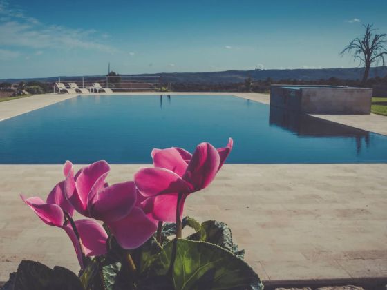 La Mela Di Venere Agriturismo - foto 3