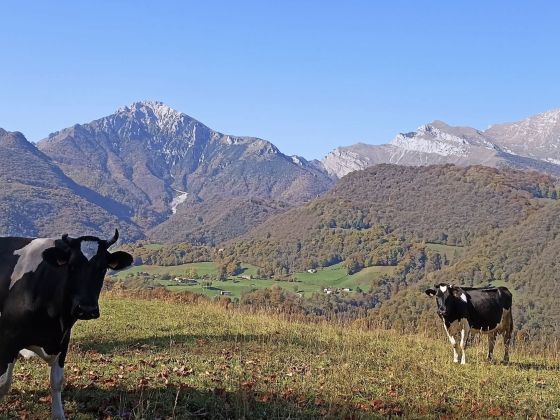 B&B CASCINA CORNELLA - foto 5