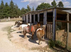 image0 Centro Ippico Vallecupa