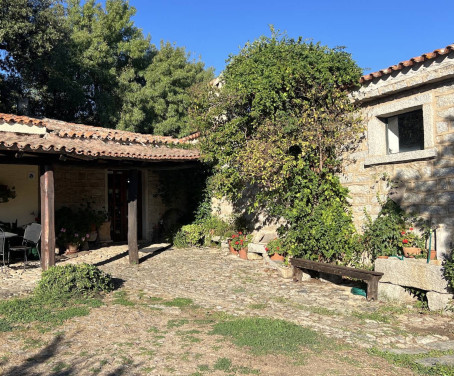 Testone a Nuoro (Nuoro)