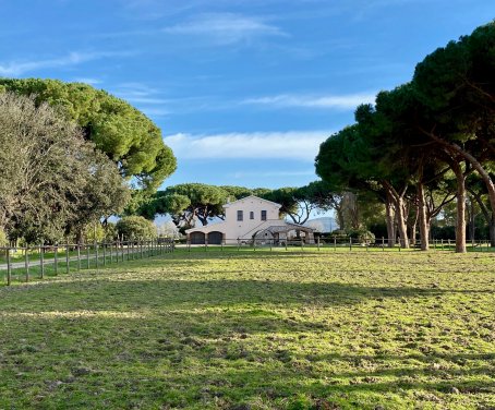 Casa-rural Tenuta San Carlo - Grosseto