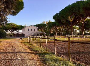 image9 Tenuta San Carlo