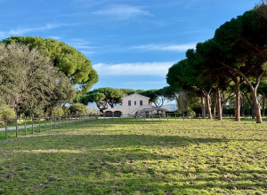 image18 Tenuta San Carlo