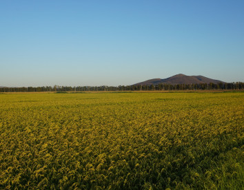 tenuta san carlo