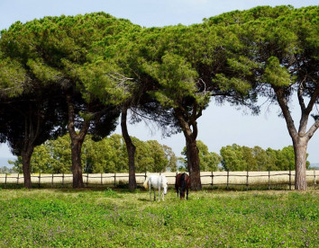 tenuta san carlo