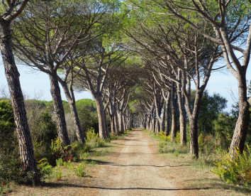 tenuta san carlo