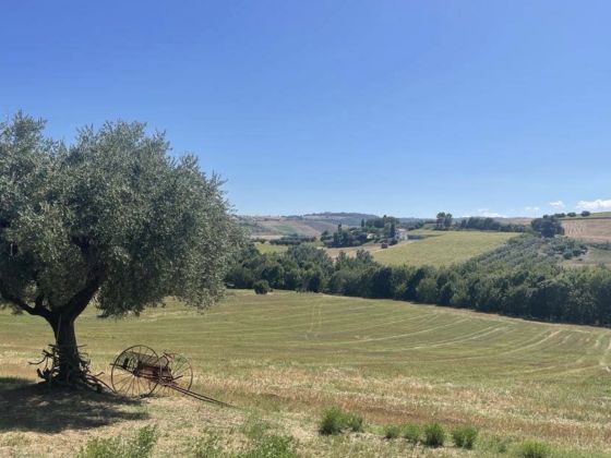 Camping Vista Fermo - foto 4