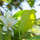 preview image0 esterno
