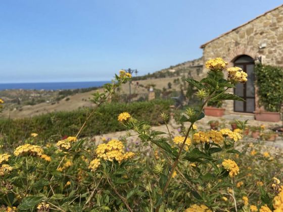 Poggio Pozzetti - foto 4