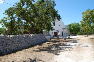 image3 Masseria Santanna