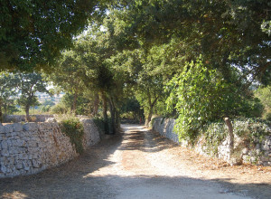 image1 Masseria Santanna