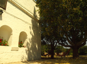 image2 Masseria Santanna