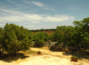 image8 Masseria Santanna