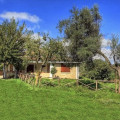 MASSERIA CAPORELLI B&amp;B Azienda Agricola