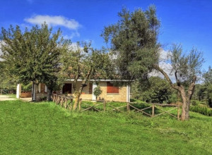 MASSERIA CAPORELLI B&amp;B Azienda Agricola - Lernbauernhöfe