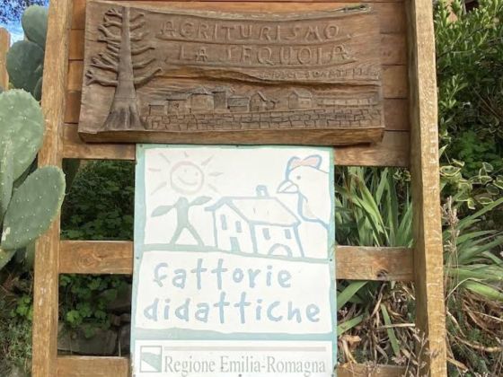 Fattoria Didattica La Sequoia - foto 3