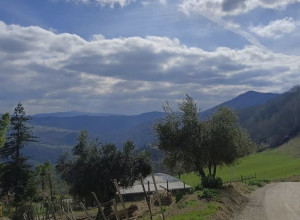 Fattoria Didattica La Sequoia - Lernbauernhöfe