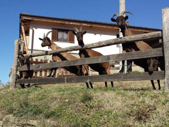 Cascina Adorno - foto 3