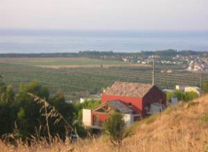 image10 Acqua Di Friso
