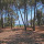 preview image13 esterno