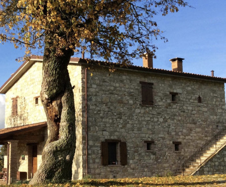 Ferienbauernhof Fattoria Biologica L'A Ceccoli - Rimini
