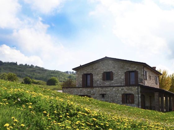 Fattoria Biologica L'A Ceccoli - foto 5