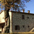 Fattoria Biologica L'A Ceccoli