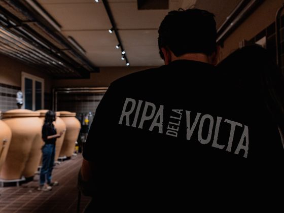 Trattoria Della Ripa - foto 8