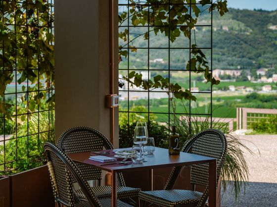 Trattoria Della Ripa - foto 7