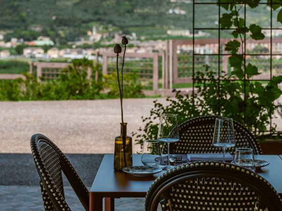 Trattoria Della Ripa - foto 3