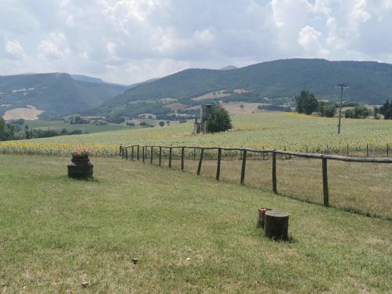 Fattoria Di Cignano - foto 2
