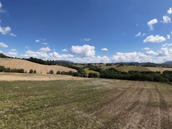 Podere Coldifico - foto 5