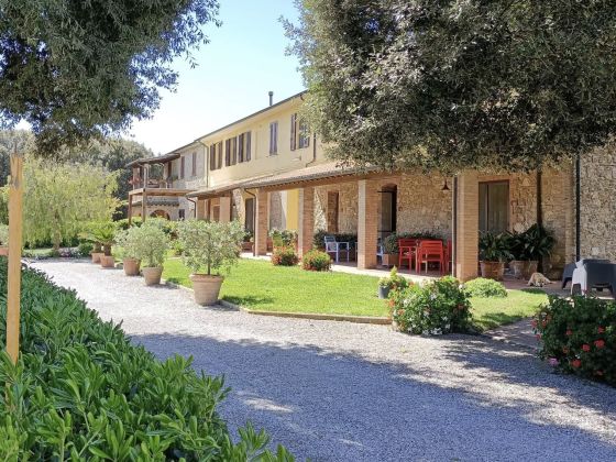 Il Cuscino Nel Pagliaio - foto 2