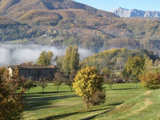 Braccicorti - foto 4