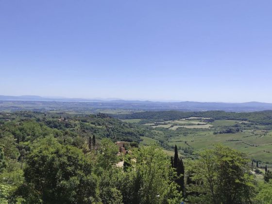 Borgo Tra Gli Olivi - foto 5