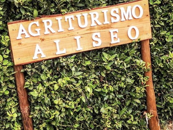 Aliseo - foto 3