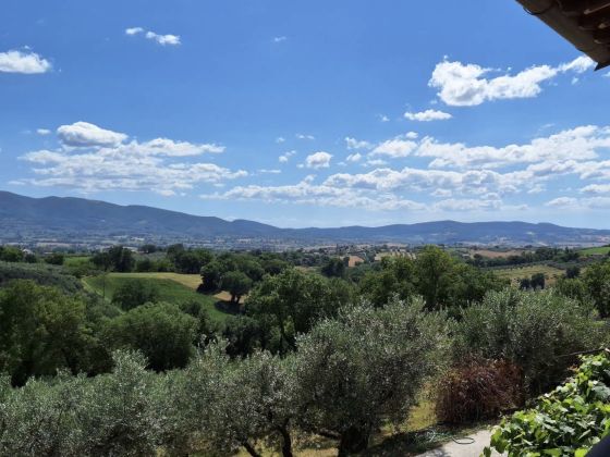La Coccinella - foto 5