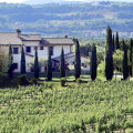Il Collicello