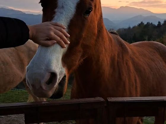 Ca Poggio - foto 10