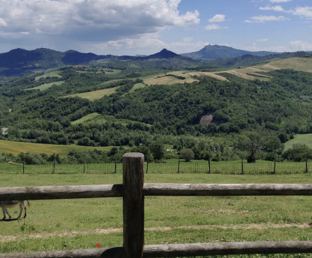 Agriturismo Ca Poggio - Forli Cesena