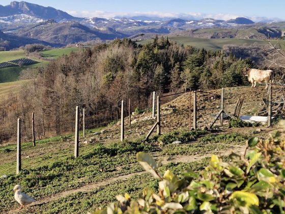 Ca Poggio - foto 3