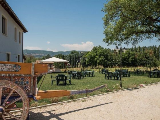 La Collina Incantata Fattoria Didattica - foto 4