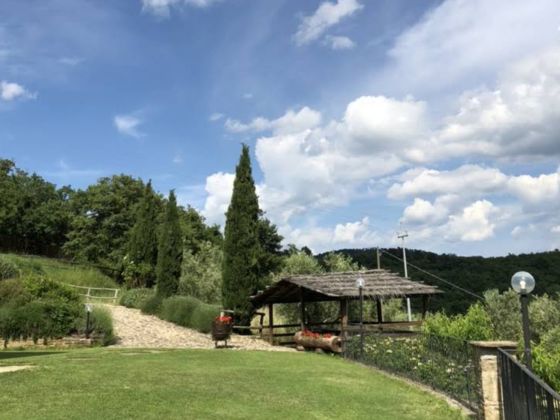 Poggio La Tana Wine- Agriturismo Casavecchia - foto 2