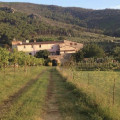 Villa Buieri