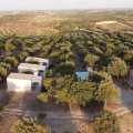 Mennuli&amp;Alivi - Organic Farm