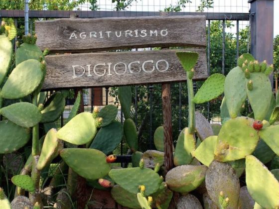 Diciocco - foto 4