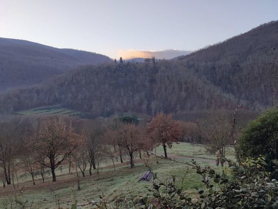 Parulia Country House | Agriturismo - foto 4