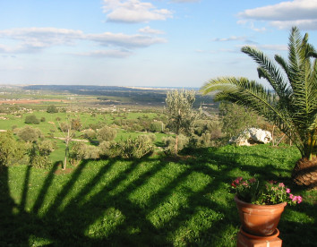 fattoria terra e libertà