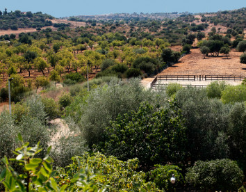 fattoria terra e libertà